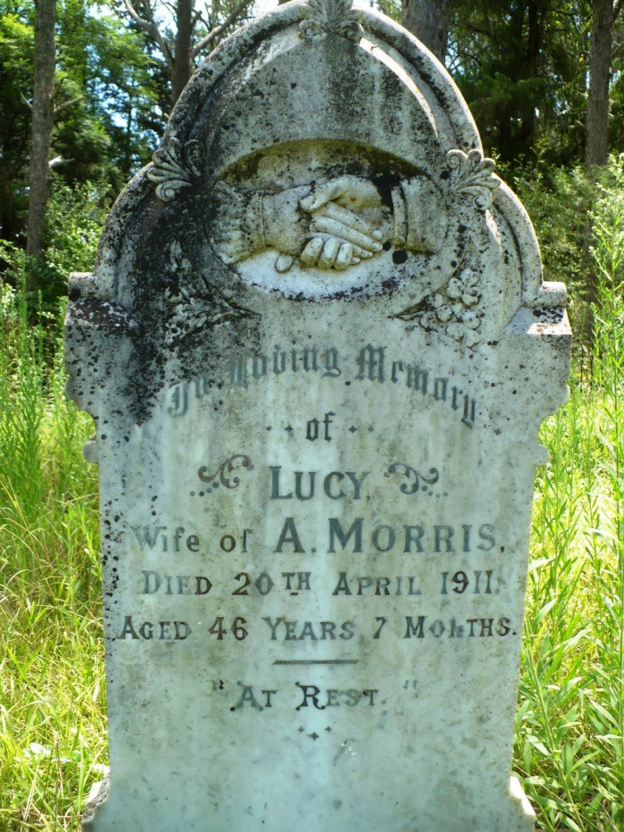 MORRIS Lucy -1911