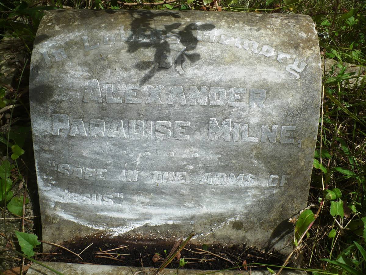MILNE Alexander Paradise