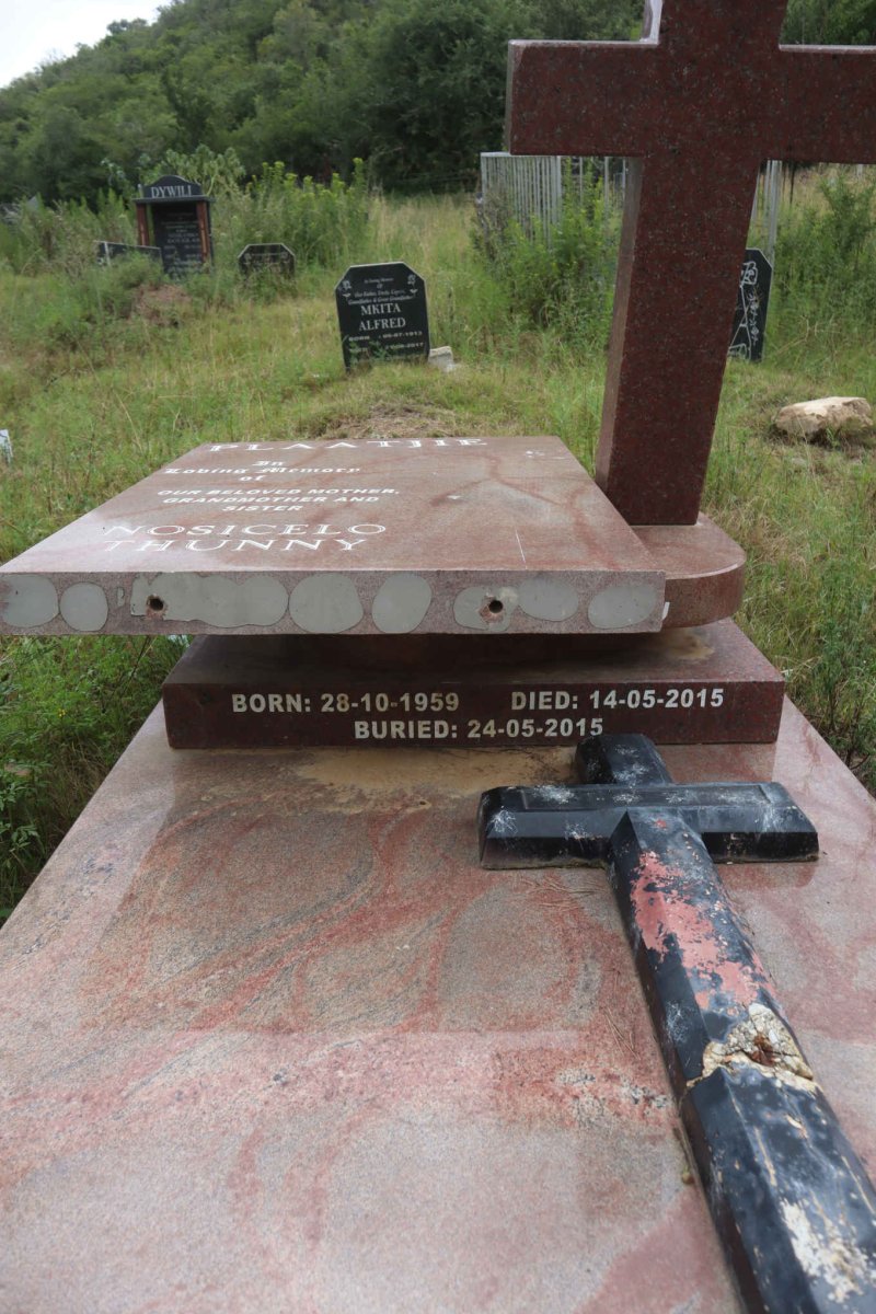 PLAATJIE Nusicelo Thunny 1959-2015