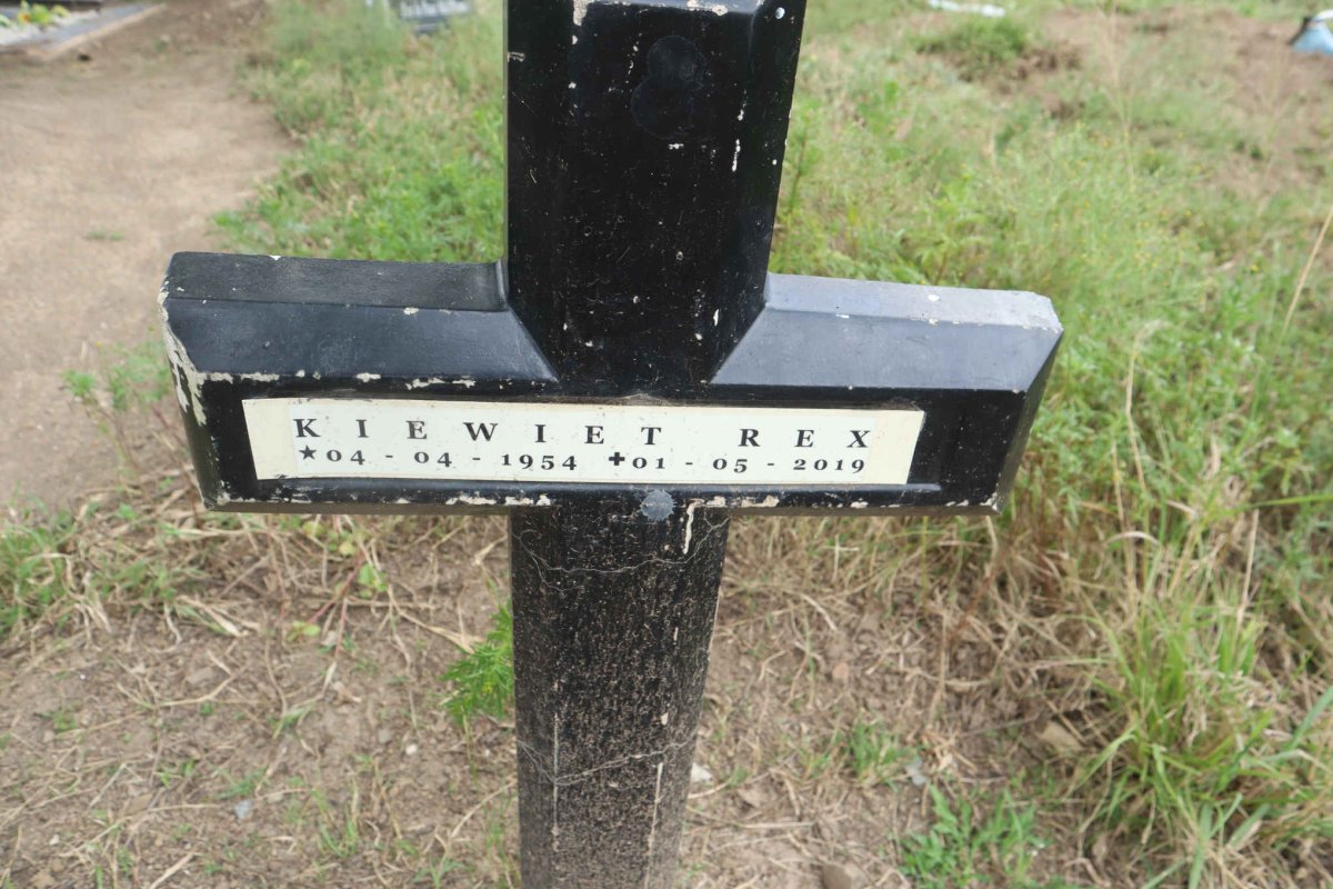 REX Kiewiet 1954-2019
