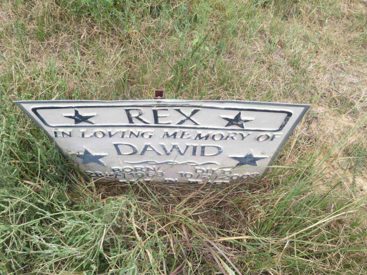 REX Dawid 1969-2009
