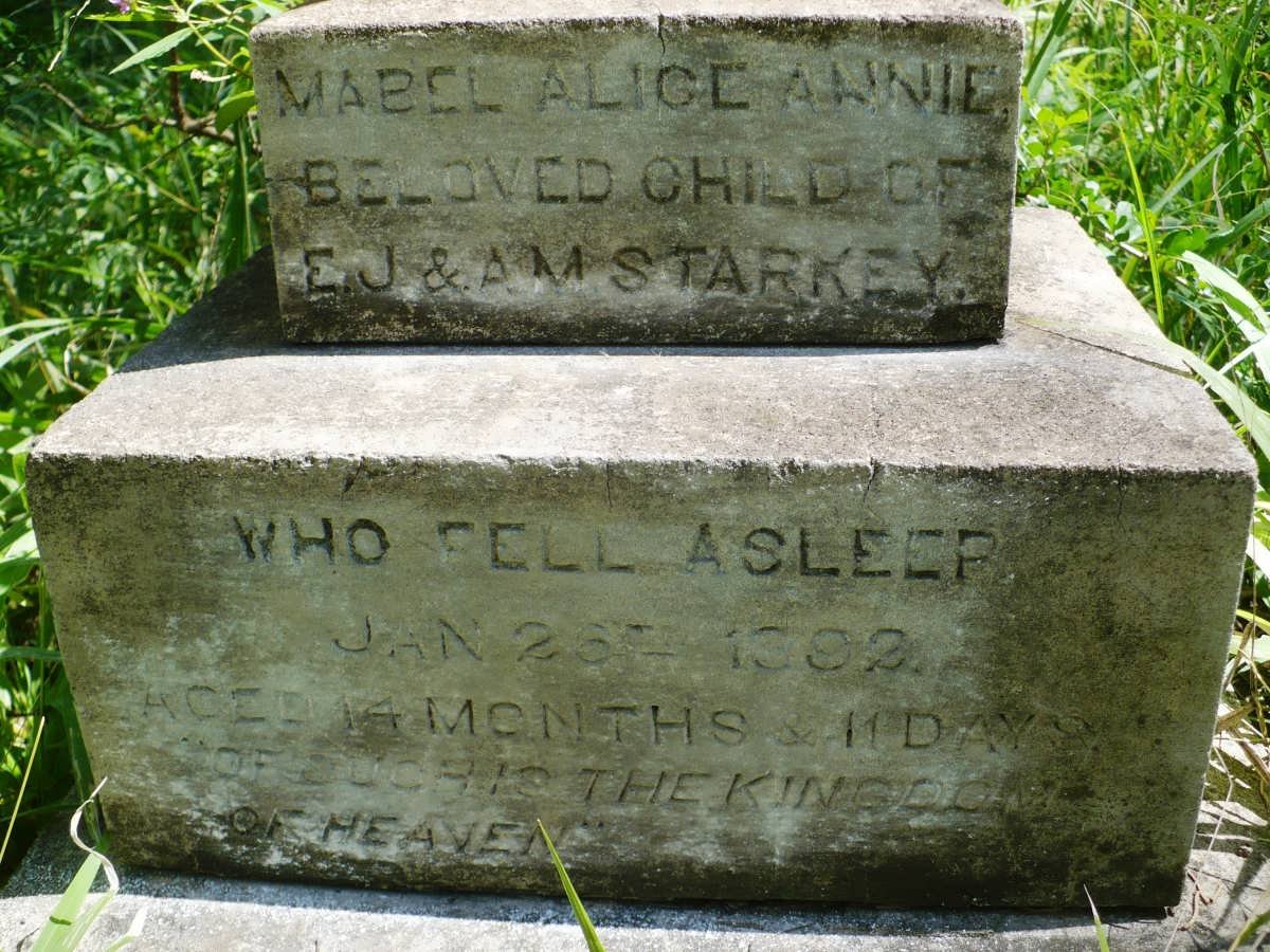 STARKEY Mabel Alice Annie -1892