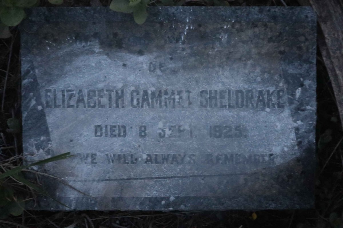 SHELDRAKE Elizabeth Gammel -1925