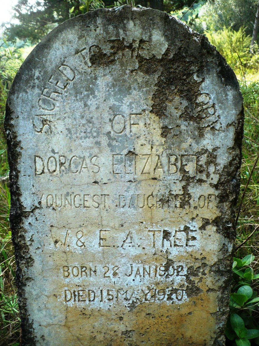 TREE Dorcas Elizabeth 1902-1920