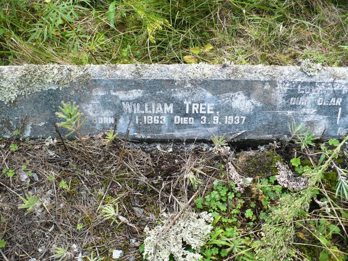 TREE William 1863-1937 &amp; Ann Elizabeth 1858-1944 
