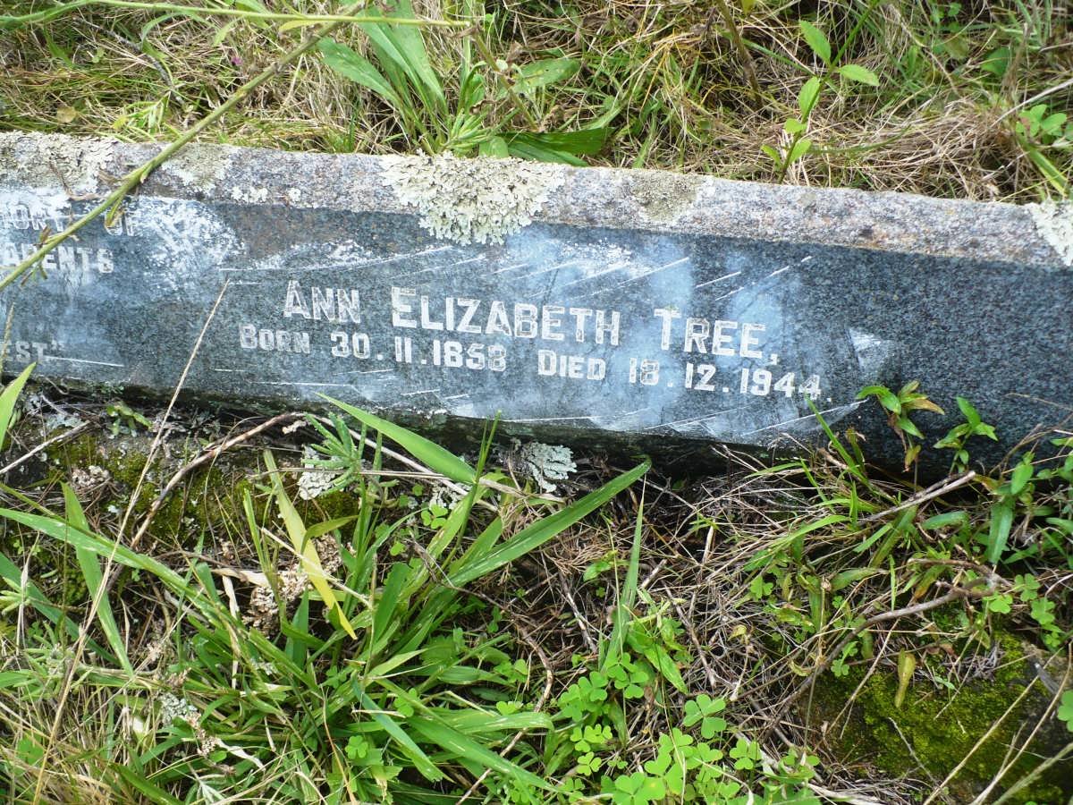 TREE William 1863-1937 &amp; Ann Elizabeth 1858-1944