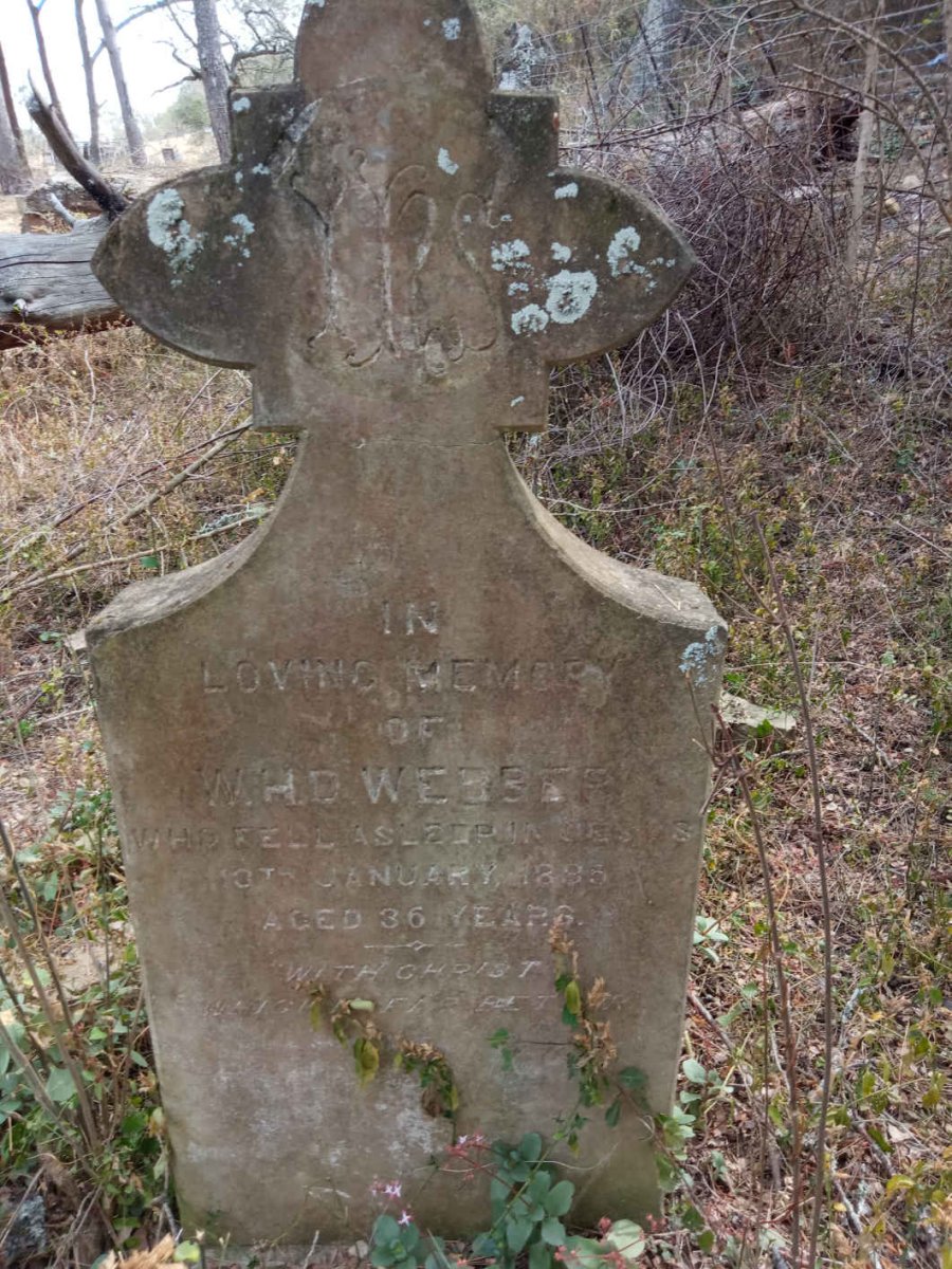 WEBSTER W.H.D. -1895