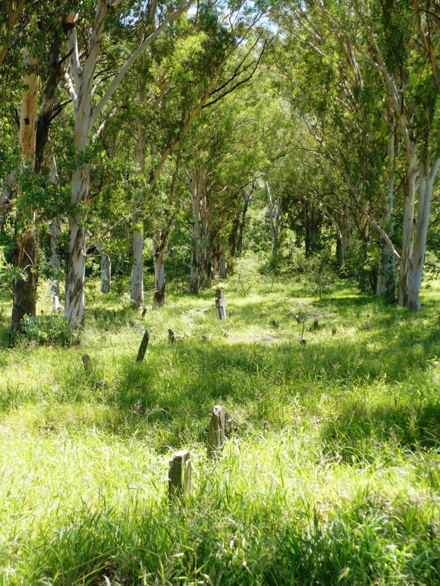 4. Overview