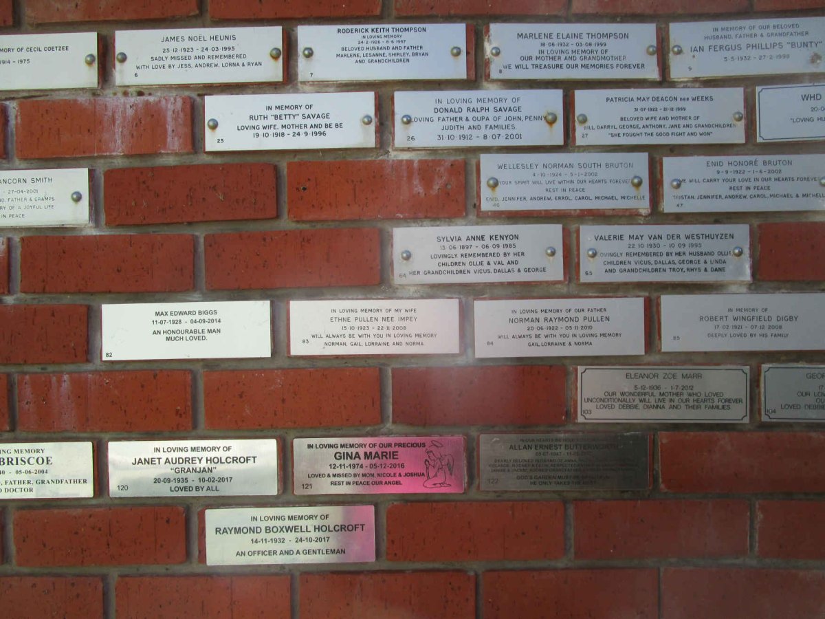 Panel 3