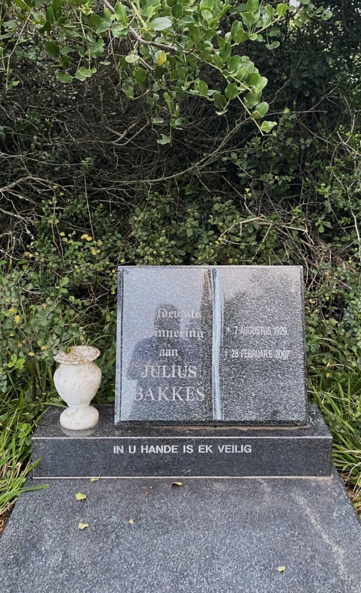 BAKKES Julius 1929-2007