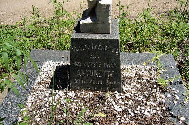 ? Antonette -1968