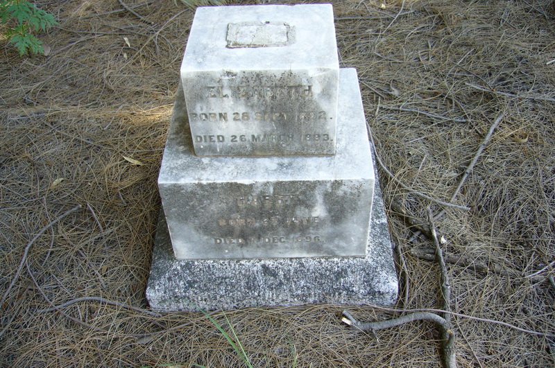 ? Harry -1896 :: ?  Elizabeth 1892-1893