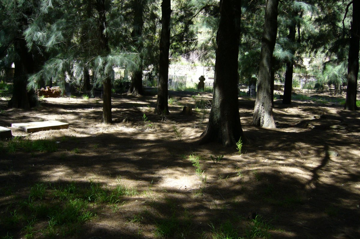 3. Overview of the cemetery