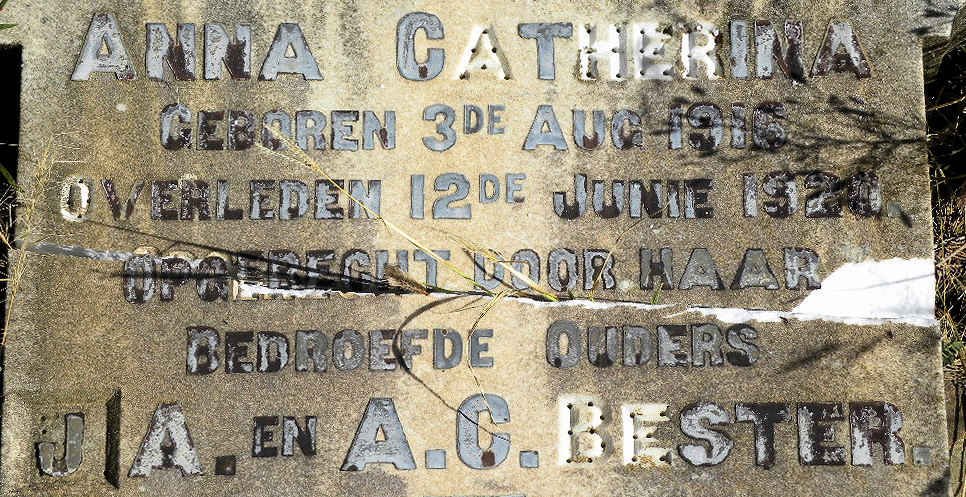 BESTER Anna Catherina 1916-1920