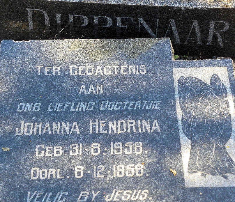 DIPPENAAR Johanna Hendrina 1958-1958