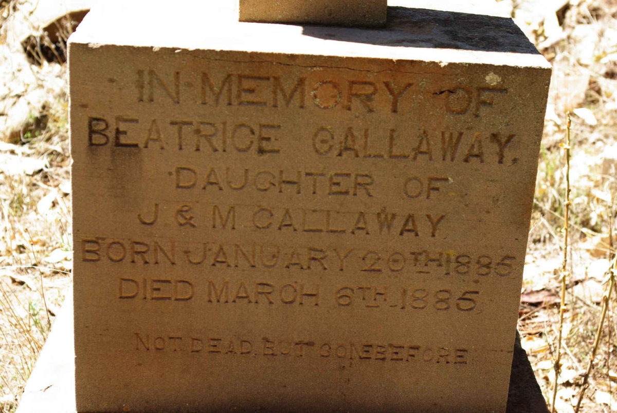 GALLAWAY Beatrice 1885-1885