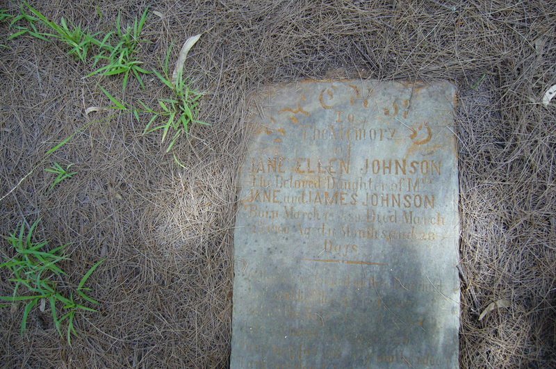 JOHNSON Jane Ellen 1889-1899