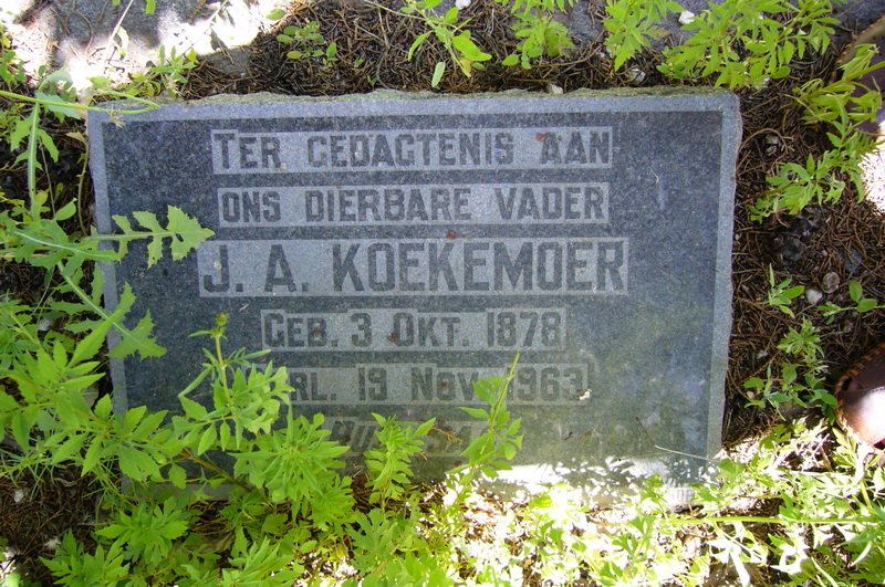 KOEKEMOER J.A. 1878-1963