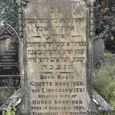 KOSVINER Goutte nee HIRSCHCOWITZ 1881-1918