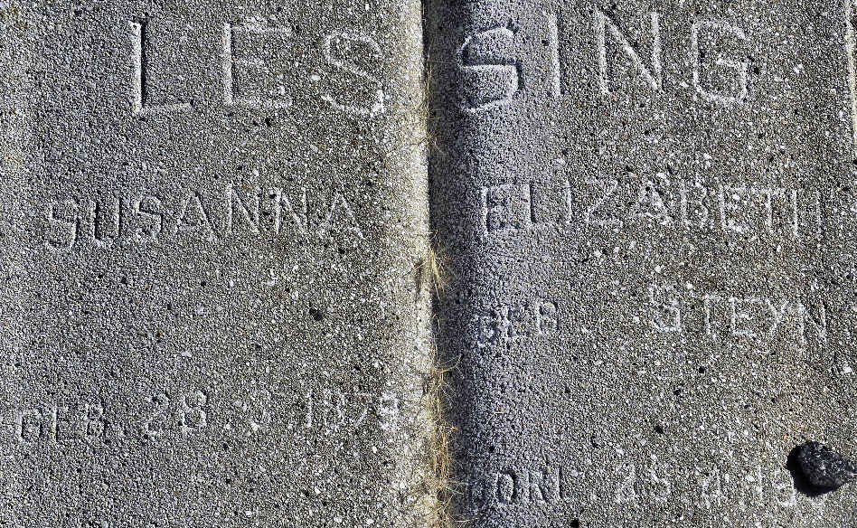 LESSING Susanna Elizabeth nee STEYN 1879-19?