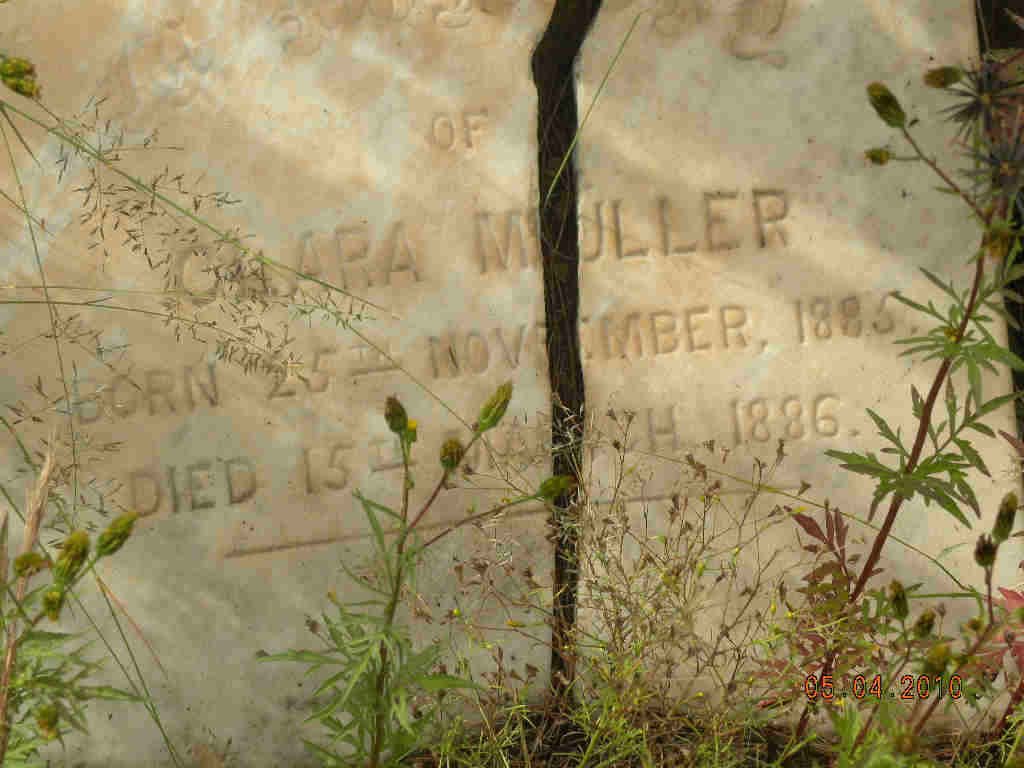 MULLER Clara 1885-1886