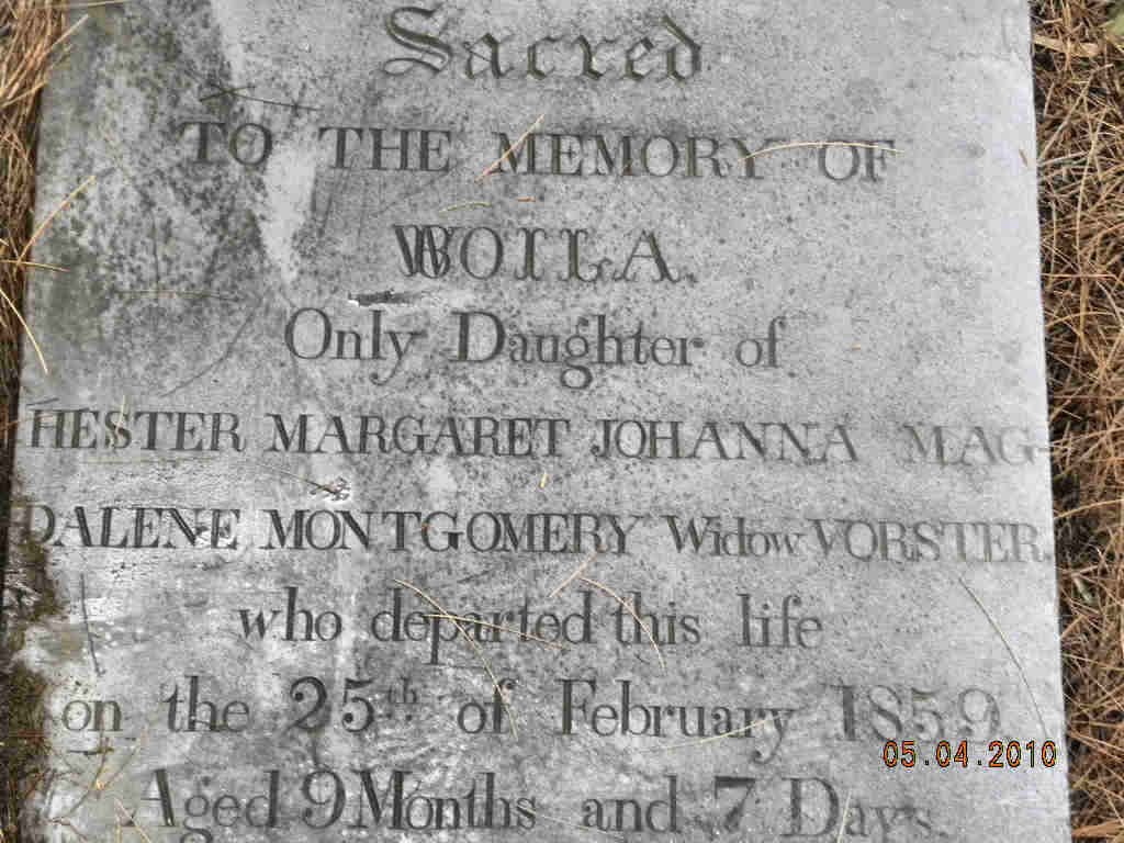 MONTGOMERY Viola -1859