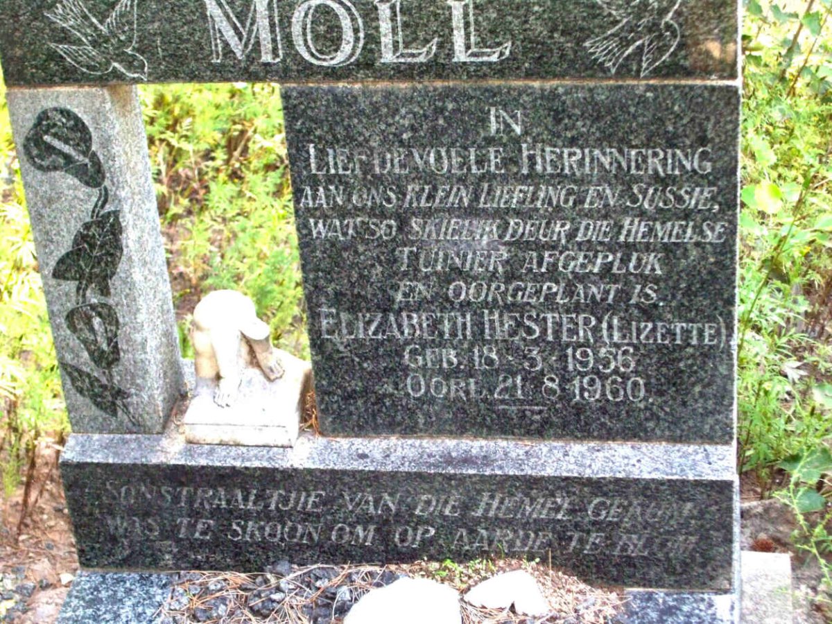 MOLL Elizabeth Hester  1956-1960