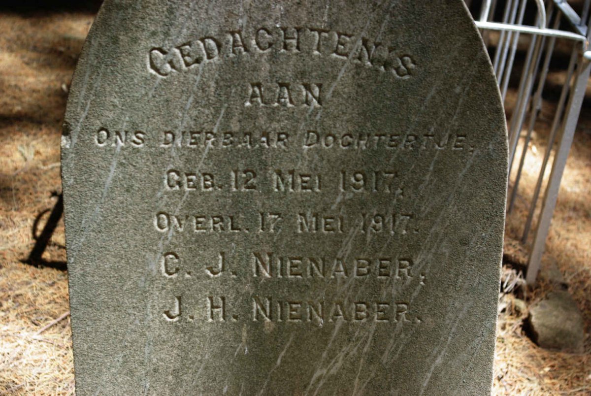 NIENABER 1917-1917