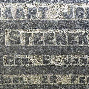 STEENEKAMP Tjaart Johannes 1917-1939