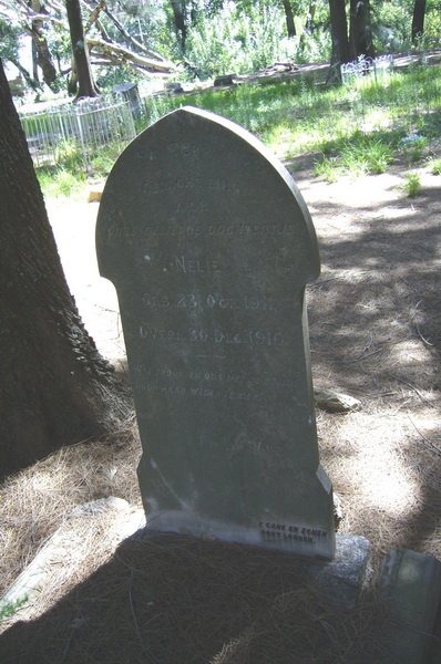 WALT Nelie, v.d. 1911-1916