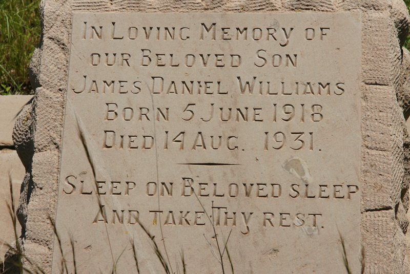 WILLIAMS James Daniel 1918-1931