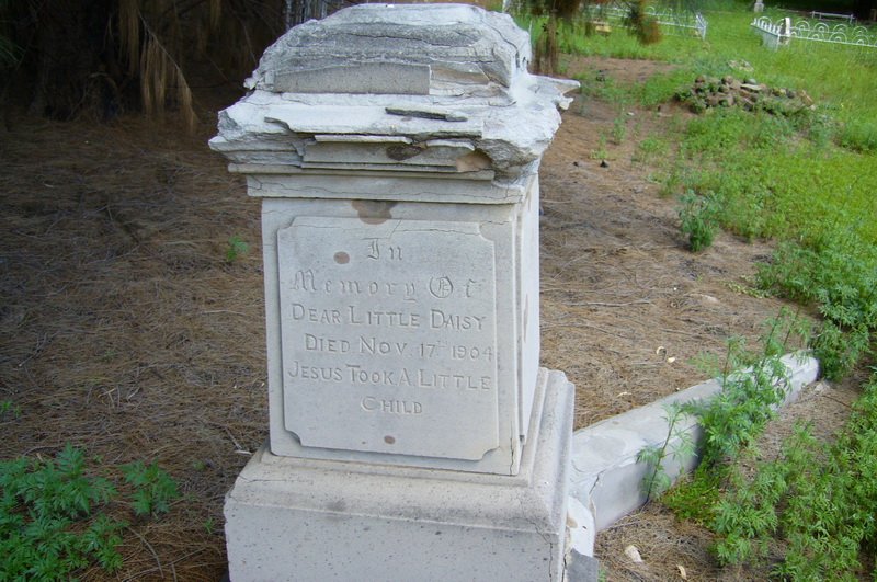 WILLIAMS Daisy -1904