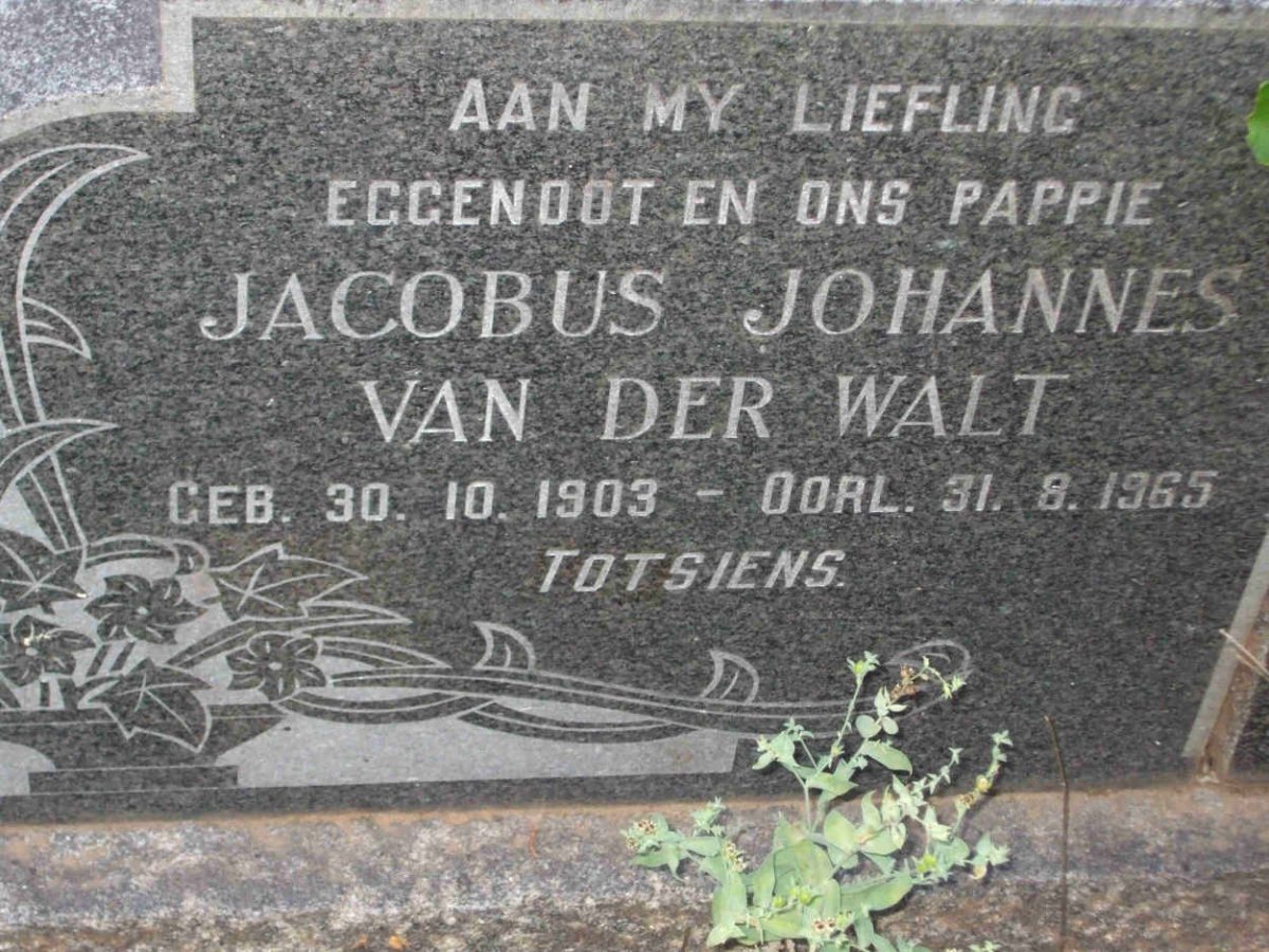 WALT Jacobus Johannes, van der 1903-1965