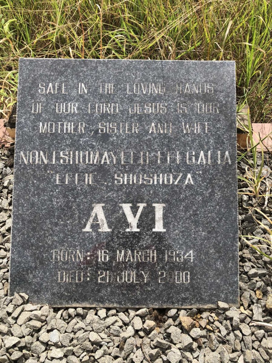 AYI 1934-2000