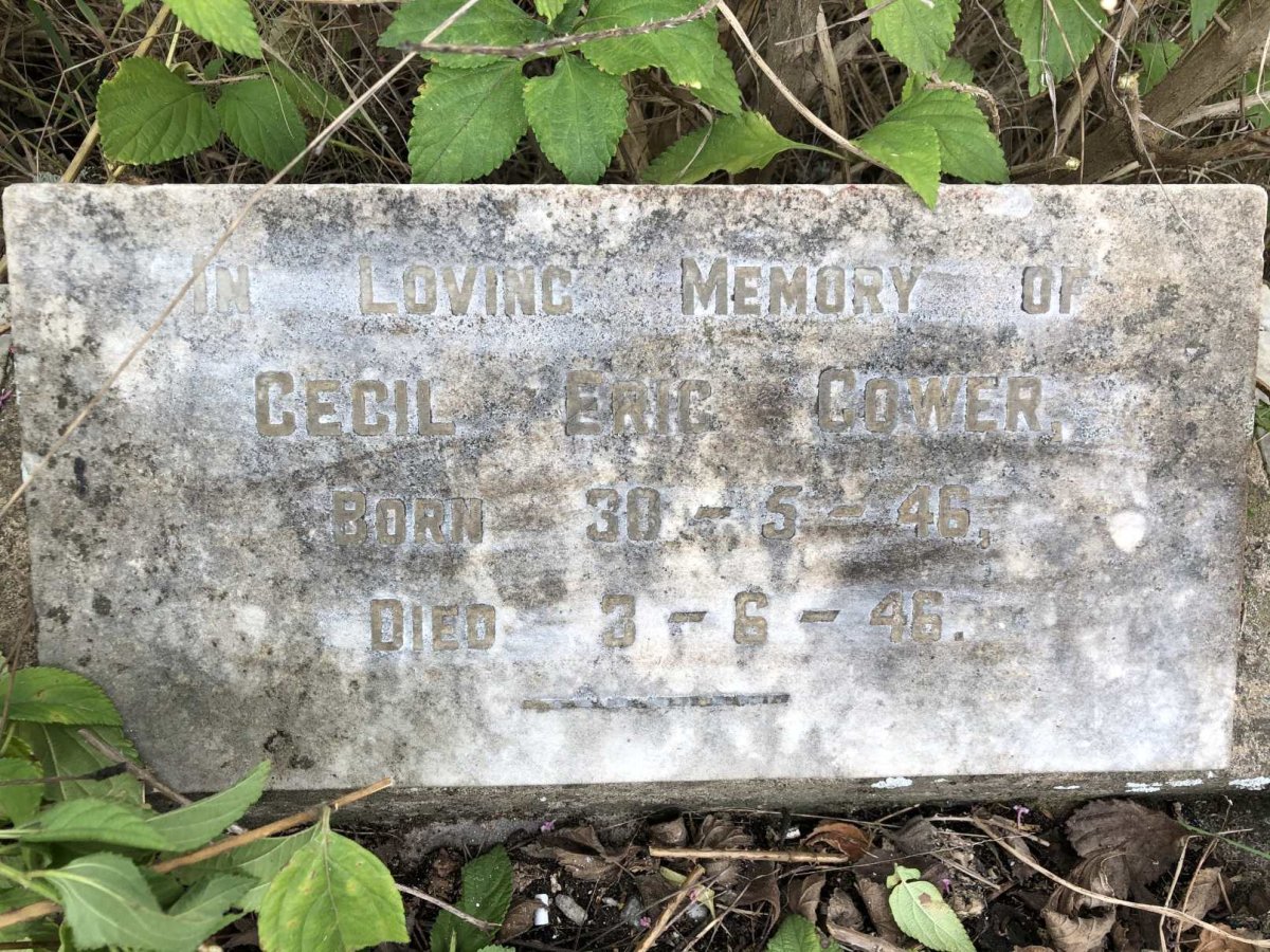 COWER Cecil Eric 1946-1946