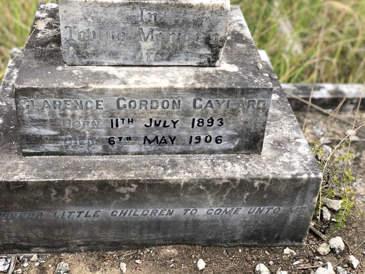 GAYLARD Clarence Gordon 1893-1906