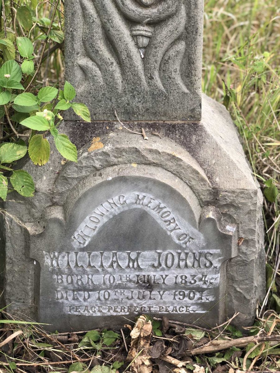 JOHNS William 1834-1901
