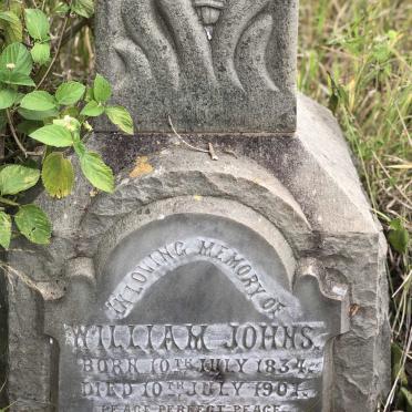 JOHNS William 1834-1901