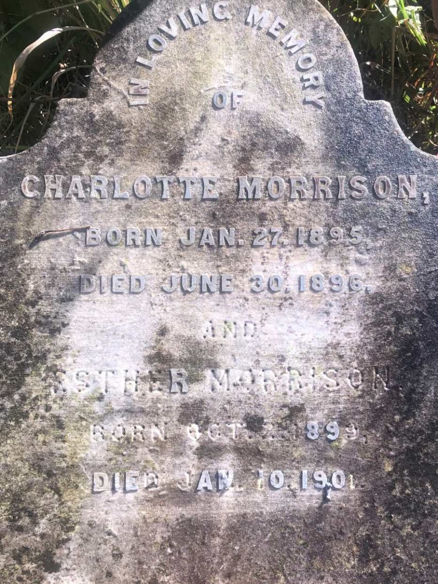 MORRISON Charlotte 1895-1896 :: MORRISON Esther 1899-1901