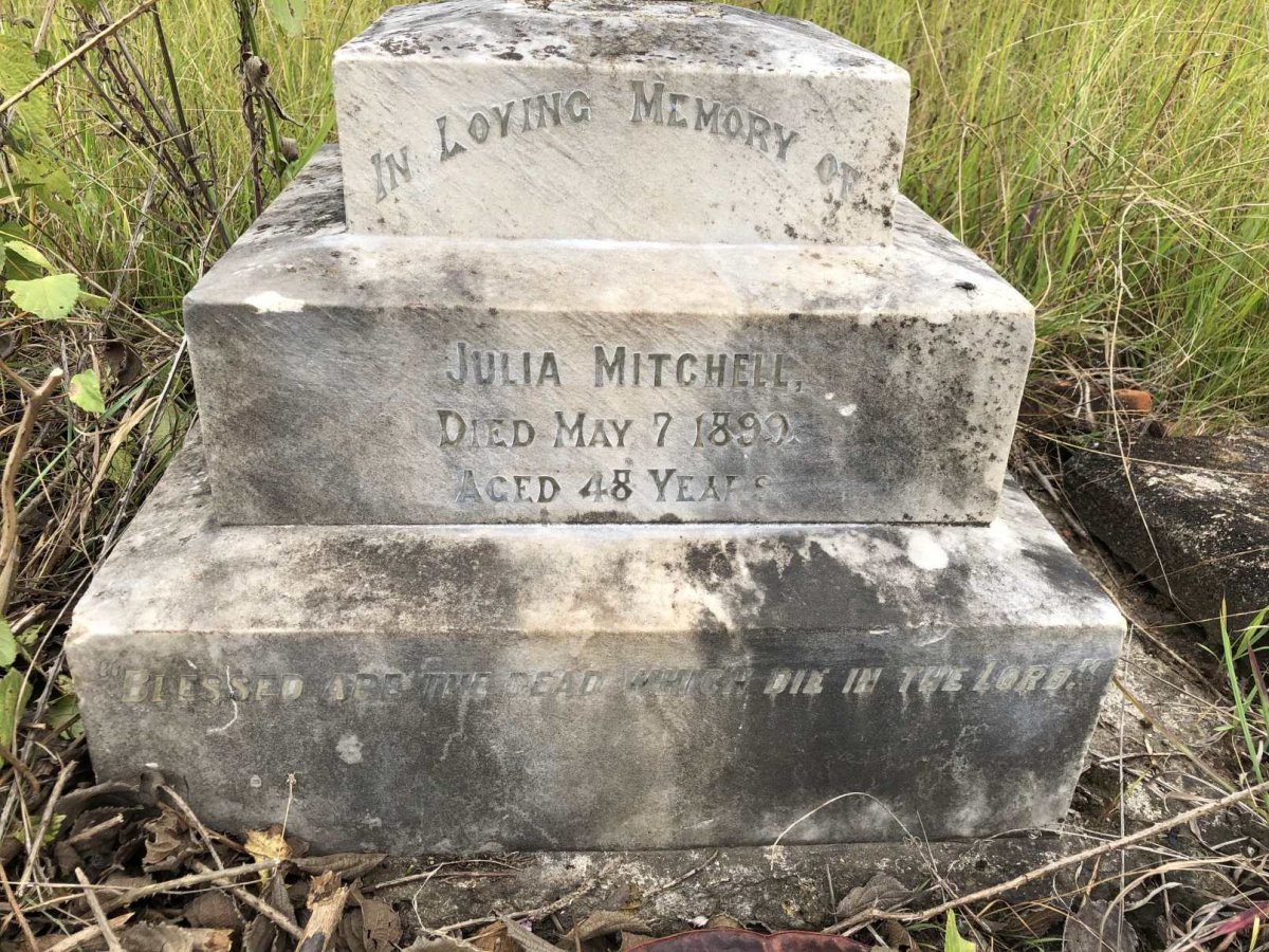 MITCHELL Julia -1899