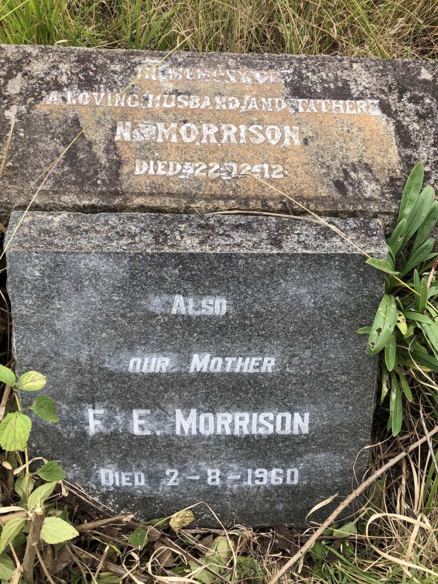 MORRISON N. -1912 &amp; F.E. -1960