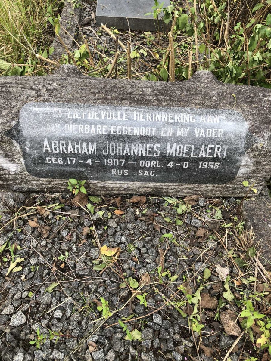 MOELAERT Abraham Johannes 1907-1958