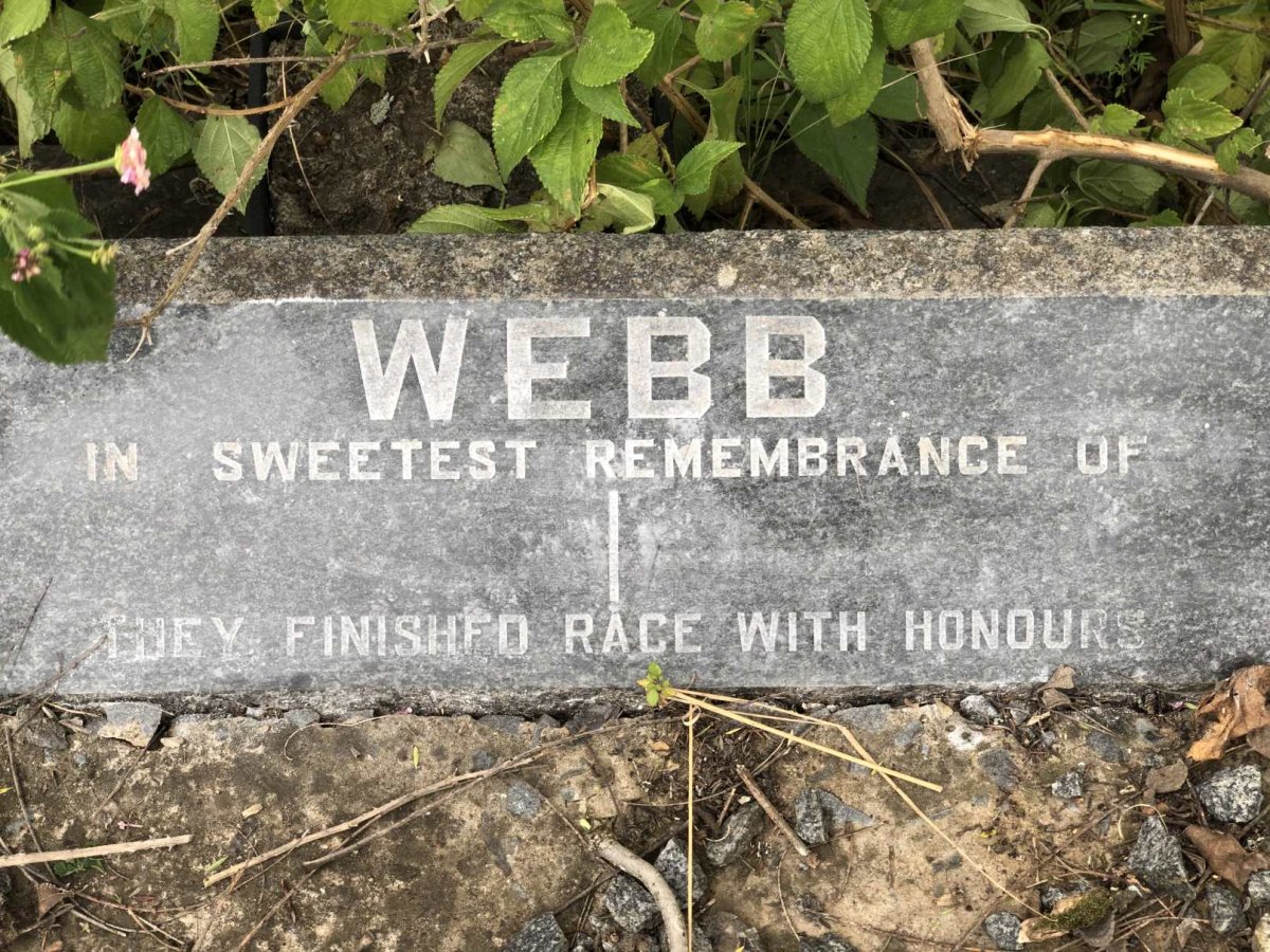 WEBB Bertha 1875-1943