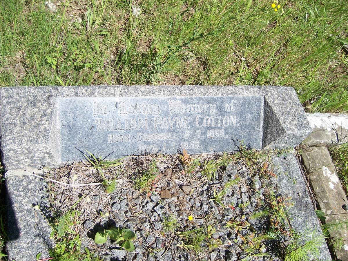 COTTON William Payne 1868-1953