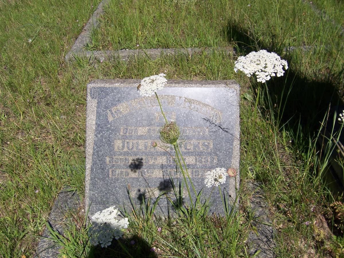 DICKS Julia 1838-1927