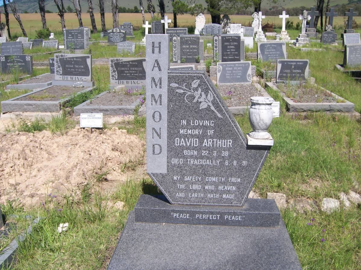 HAMMOND David Arthur 1938-1991
