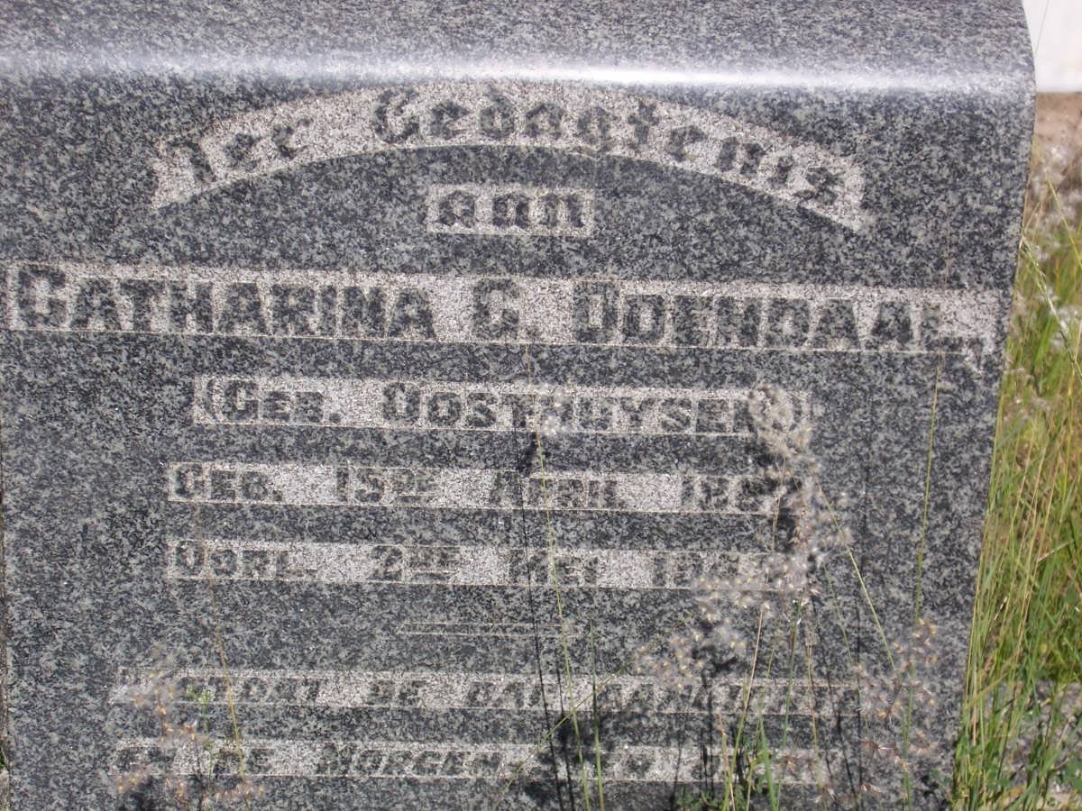 ODENDAAL Catharina G. nee OOSTHUYSEN 1897-1943