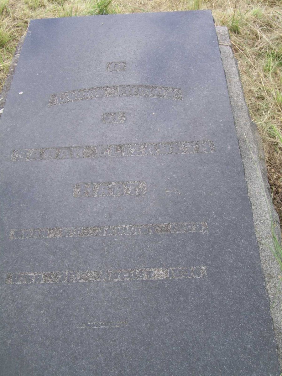 HART Sarah Elizabeth 1869-1935