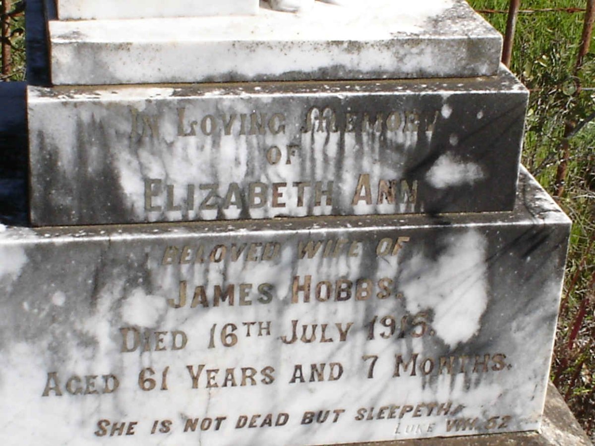 HOBBS Elizabeth Anne -1915