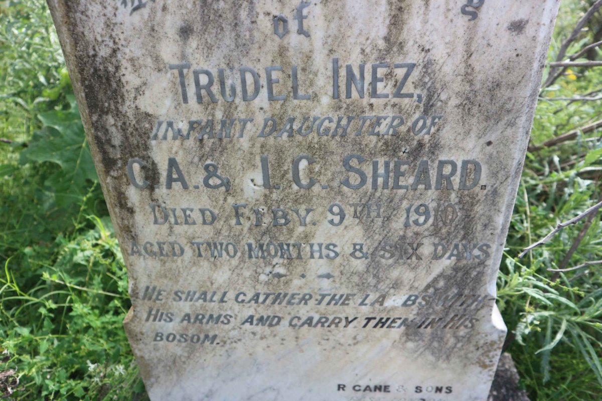 SHEARD Trudel Inez -1910